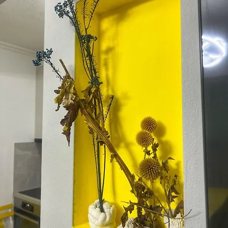 Blloku One-room Tirana